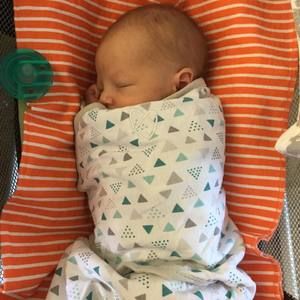 Meet your Posher, Davida